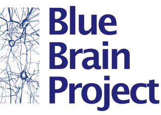 Brain project. Blue Brain Project. Проект голубой мозг. Project Blue приложение. Голубой мозг проект Маркрам.