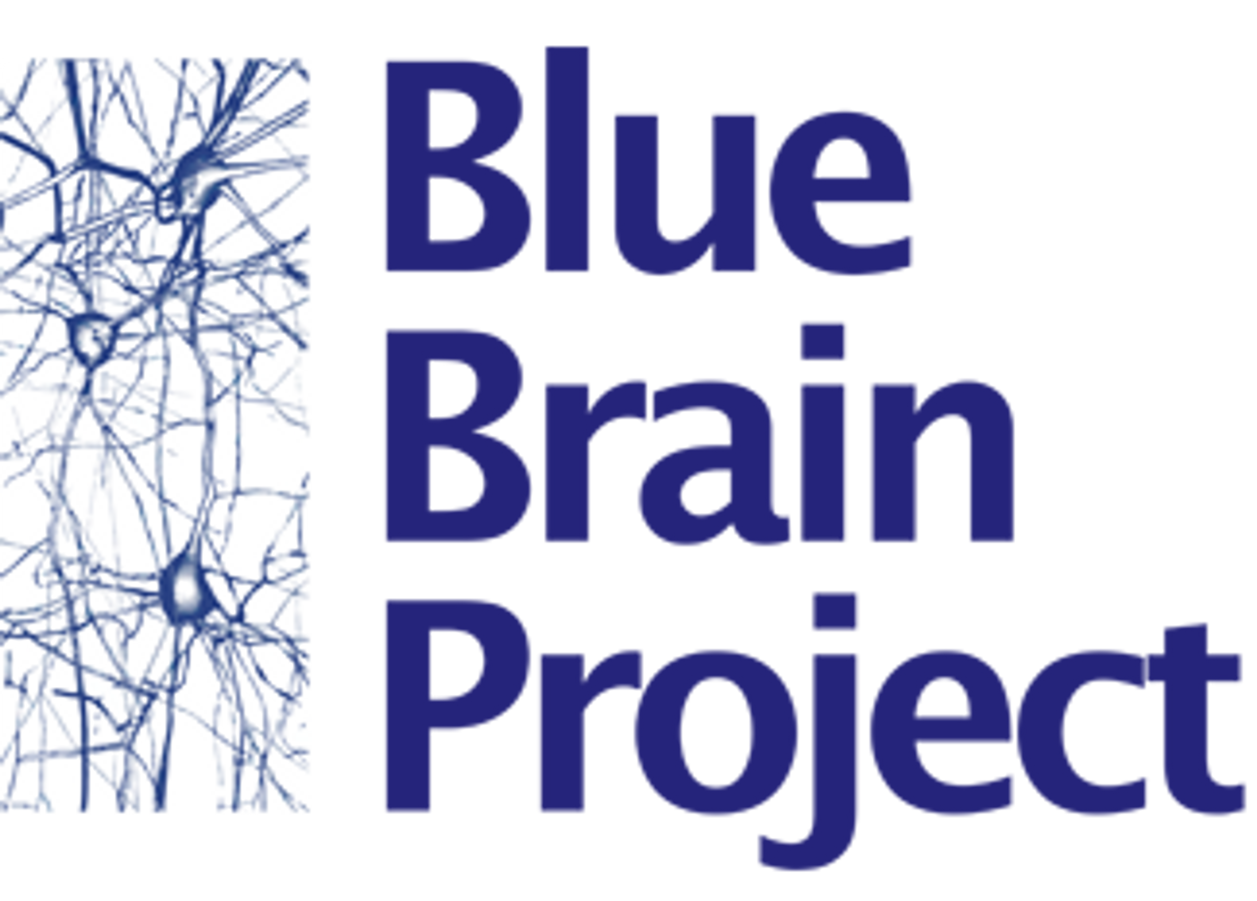 (Blue) Brain and Beauty
