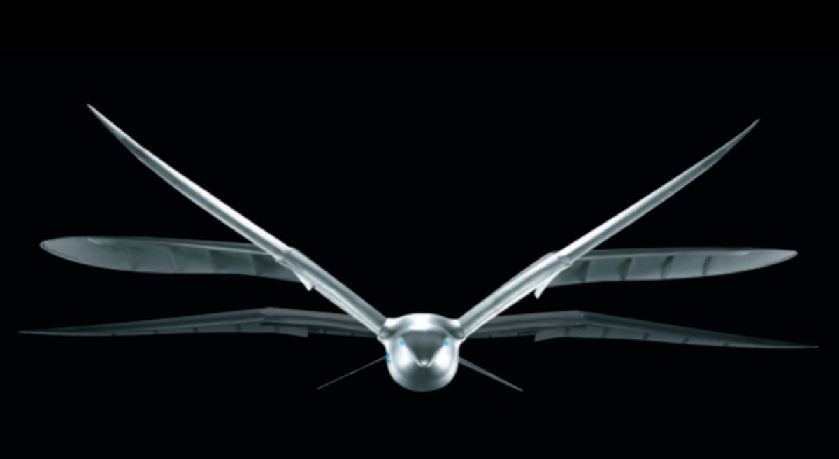 Watch Festo's SmartBird Robot Soar Over TED Conference