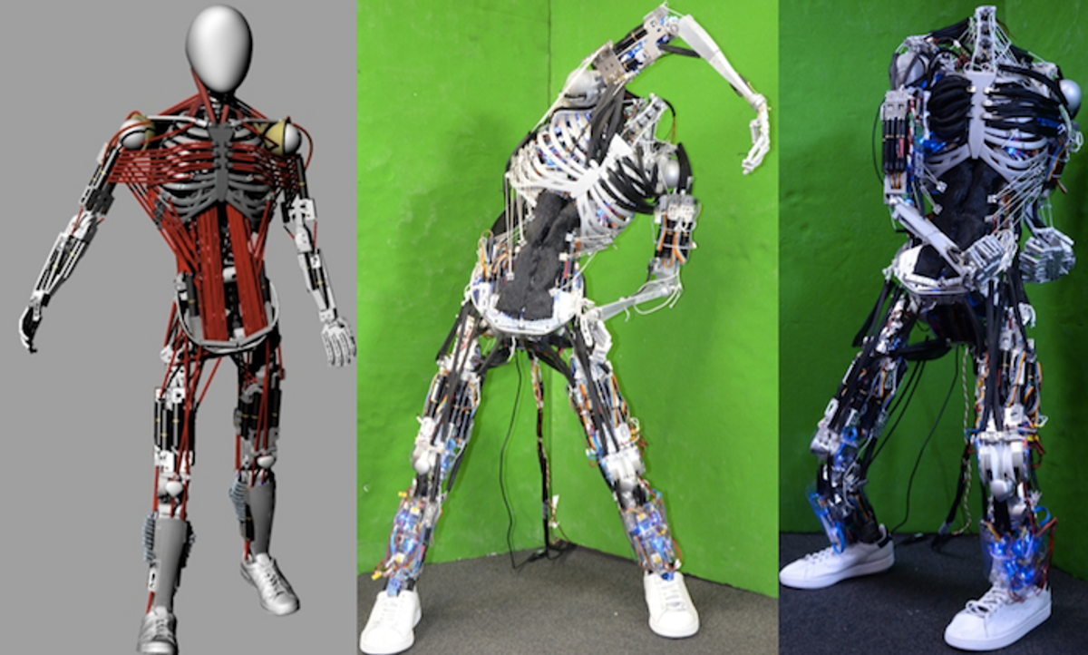 Kenshiro Robot Gets New Muscles and Bones