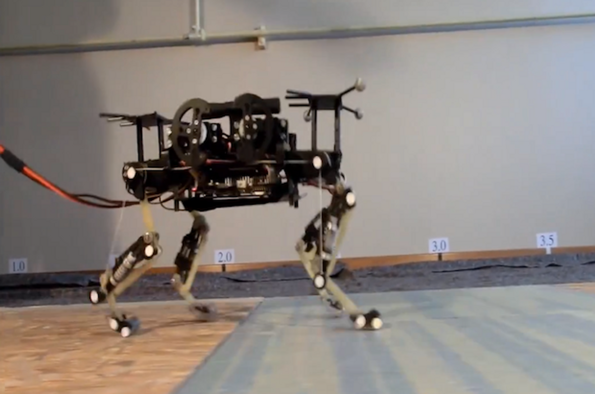 Cheetah-Cub Quadruped Robot Learns to Walk, Trot Using Gait Patterns from Real Animal