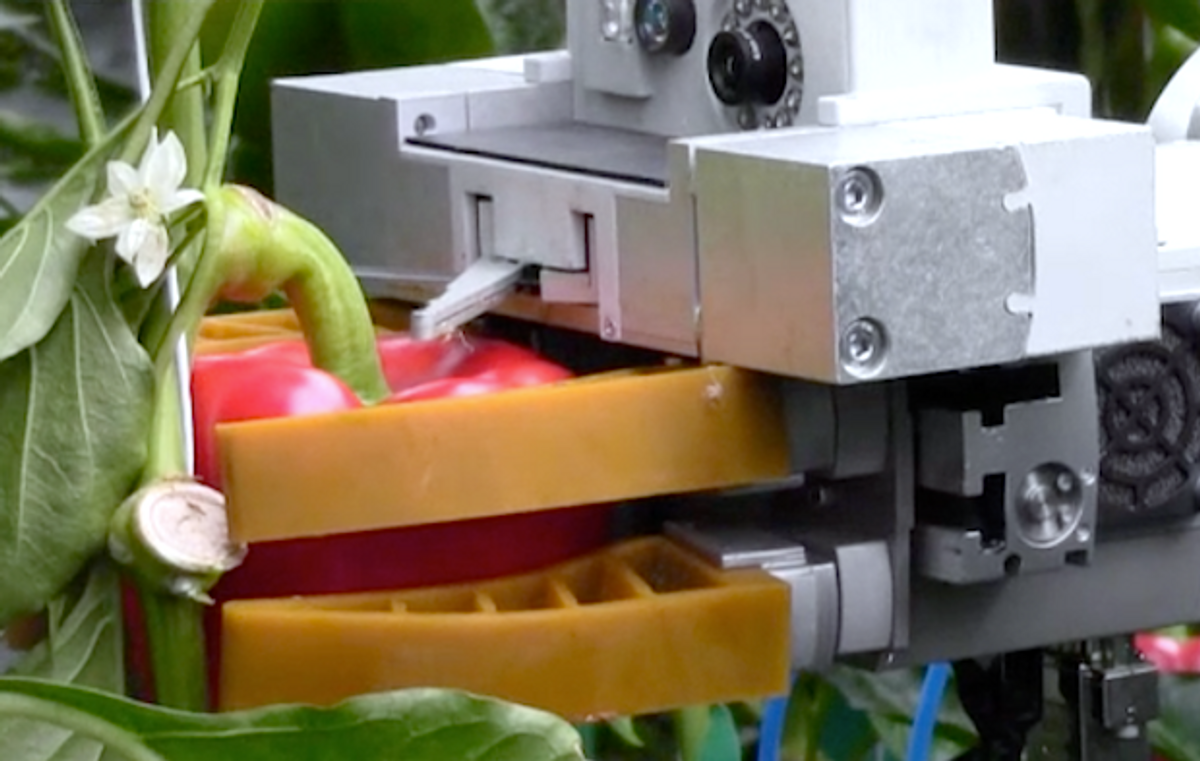 Prototype Platform Perceives Pristine Peppers, Precisely Picks a Perfect Peck