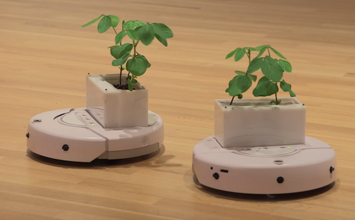 Video Friday: PlantBots, Real Martians, and Drone Comms Jammer