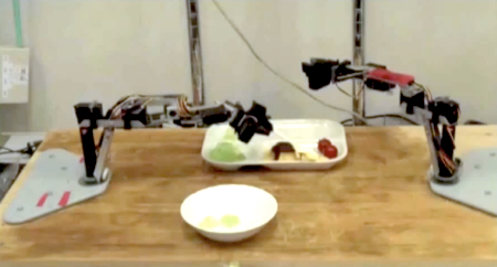 Voice-Activated Robot Feeds You Your Desired Dish