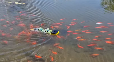 A photo of a small yellow robot swimming in a fish pond, surrounded by goldfish