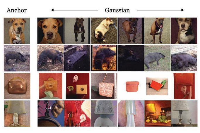 images of regular images and generative machine-learning images