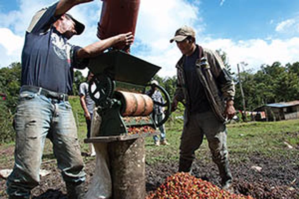 img of farmers process coffee berries using a hand-cranked machine