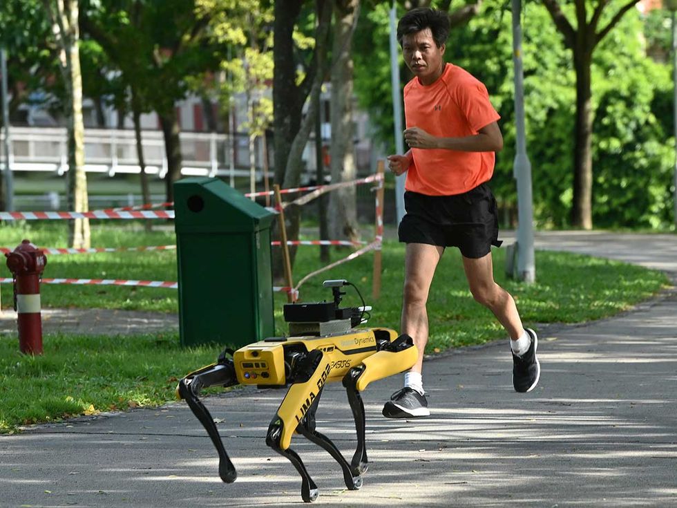 In Singapore, the Bishan-Ang Moh Kio Park unleashed a Spot robot dog (below), developed by Boston Dynamics, to search for social-distancing violators. Spot won\u2019t bark at them but will rather play a recorded message reminding park-goers to keep their distance.