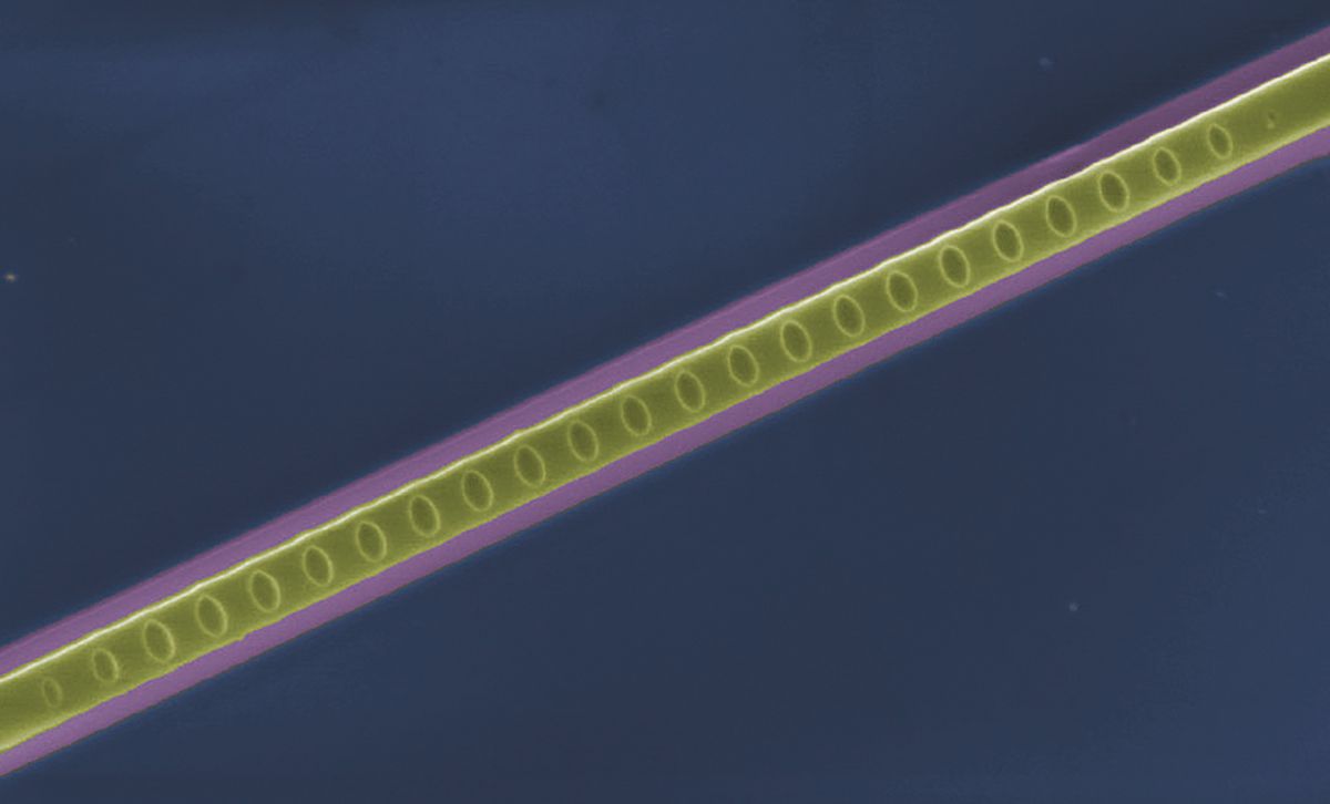 In this false color image from a scanning electron microscope, single photons travel through a pink waveguide atop a blue surface made of silicon dioxide. 