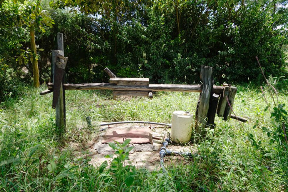 Irrigation set-up.  