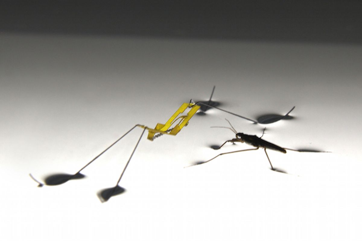 Robots Reveal How Water Striders Jump on Water