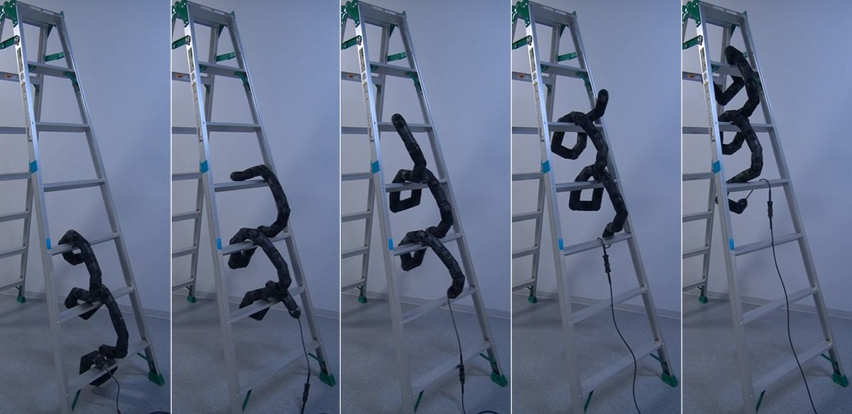 ladder climbing snake robot