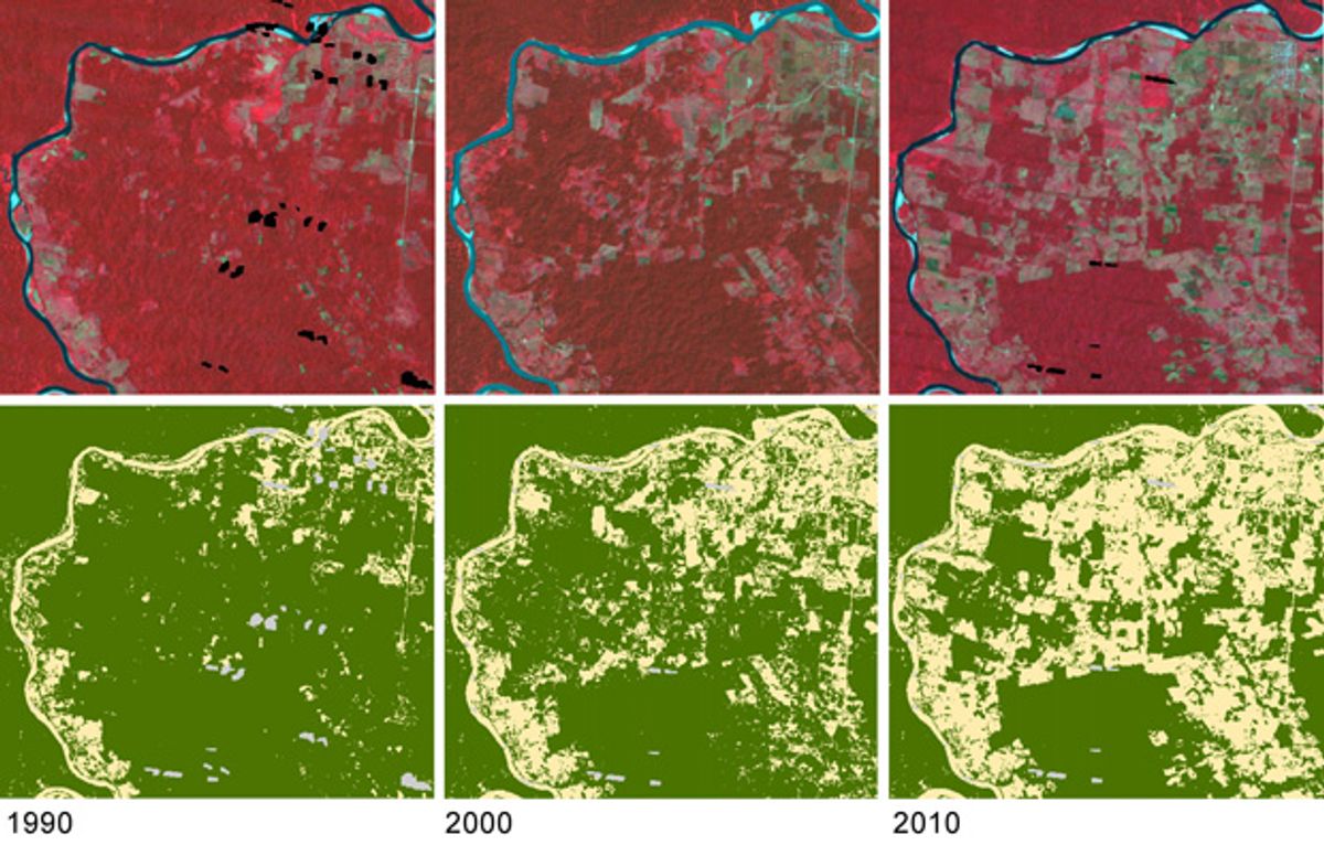 Satellites to Monitor UN Forest Protection Goals