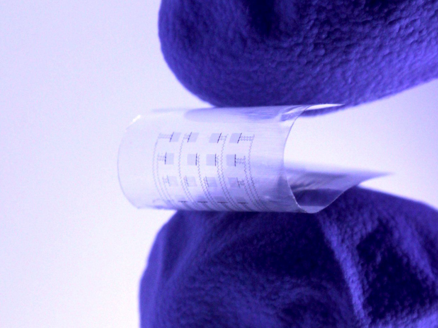two purple-gloved fingers squeeze a transparent piece of flexible electronics