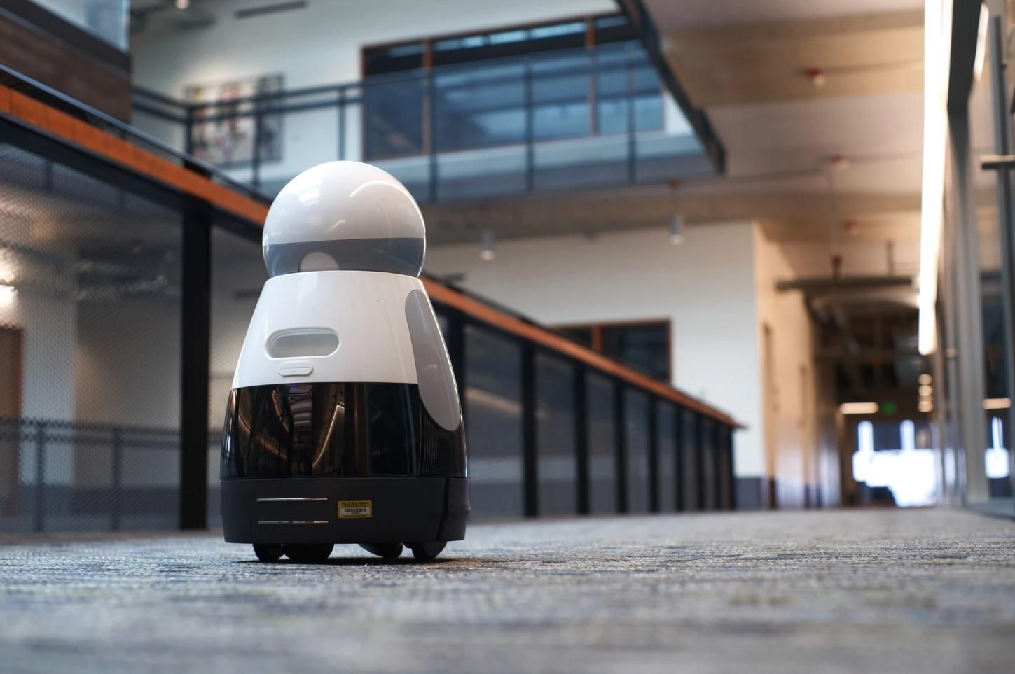 A small black and white wheeled robot with a round head with its back turned looks down a long and empty academic hallway
