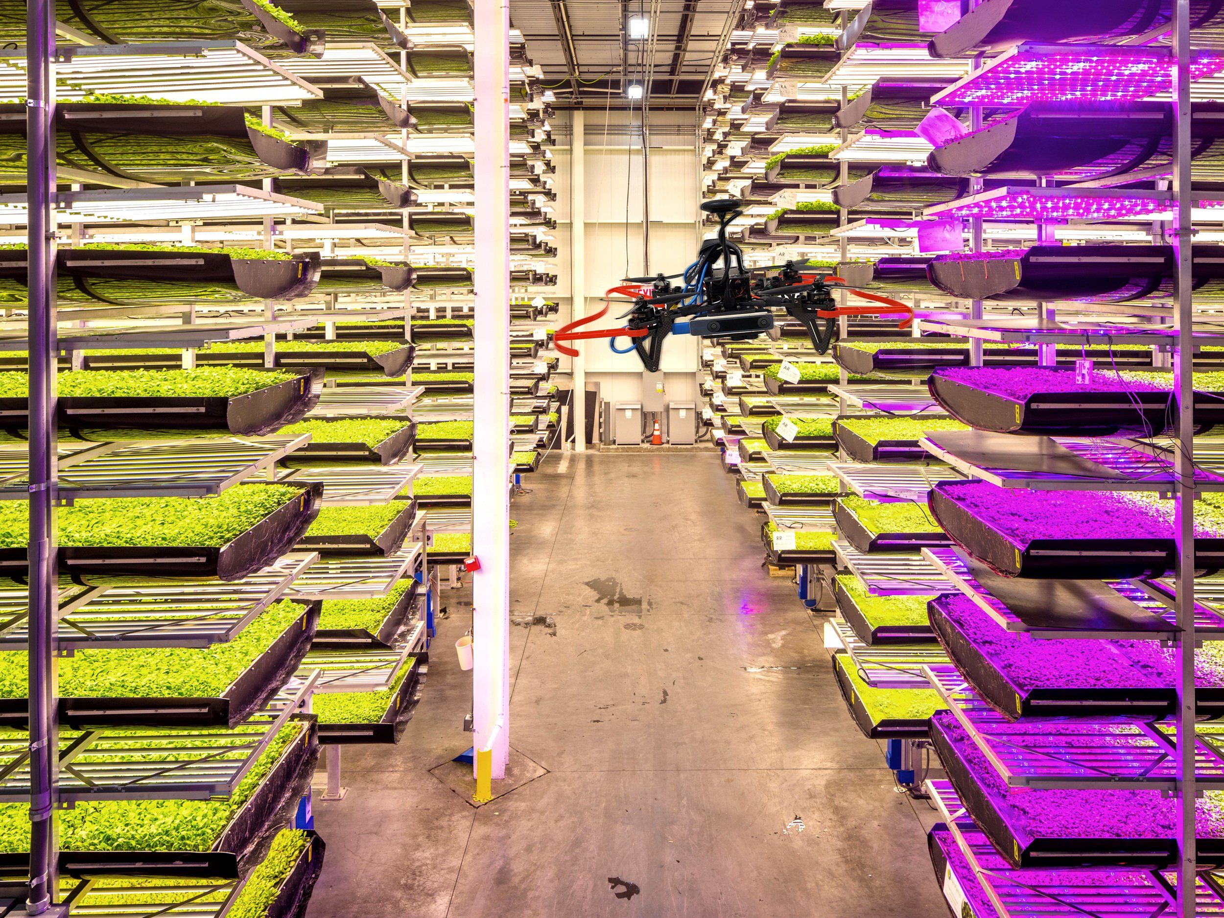 trays of greenery sitting in rows from top of the floor to the ceiling with a drone in the middle of a corridor