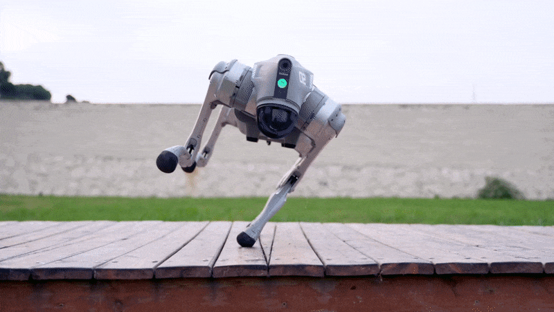 GIF animation of a quadruped robot performing acrobatic maneuvers on a wooden platform that sits on a grass-filled yard