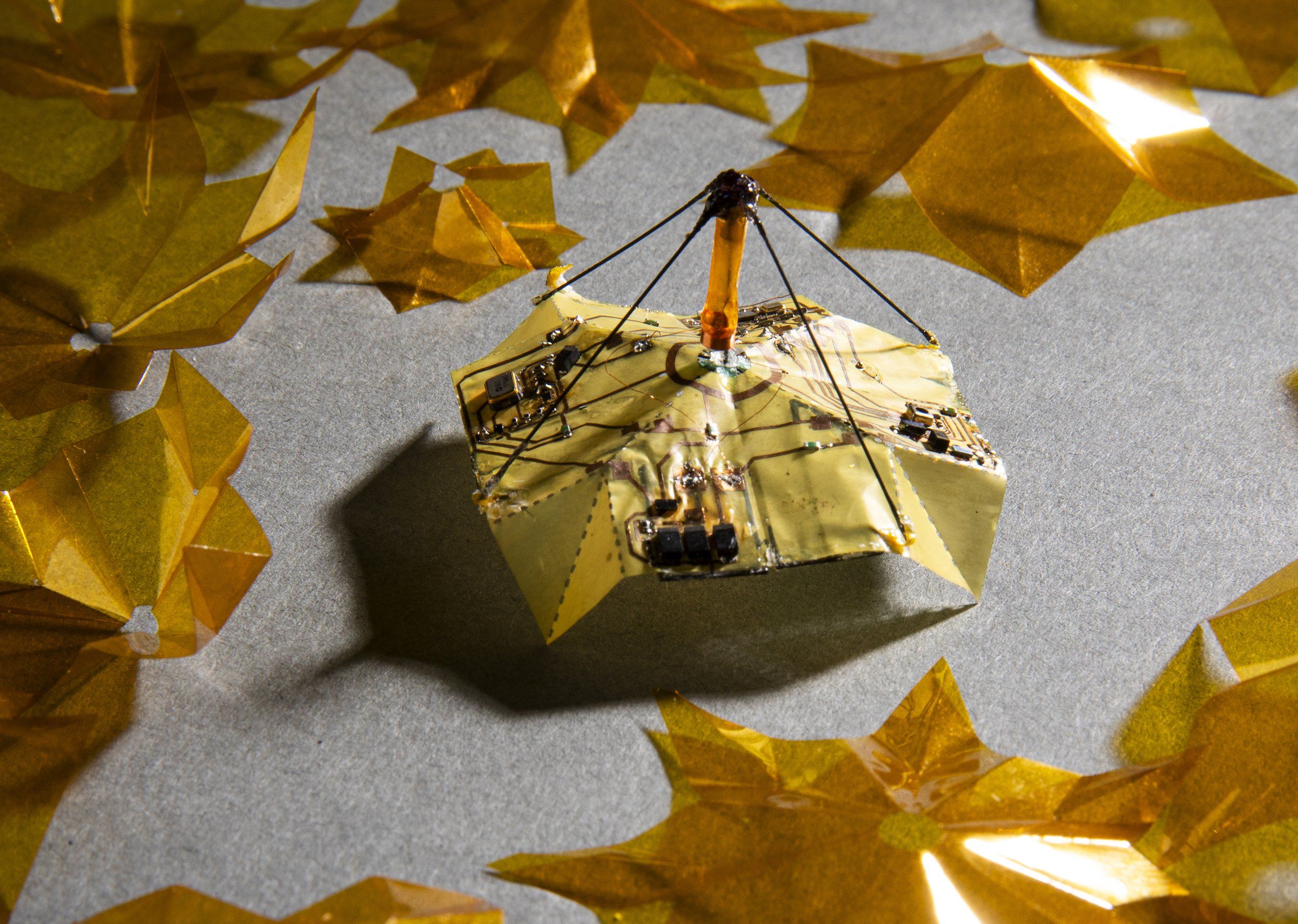 Gold-colored, leaf sized origami surround a microflier 