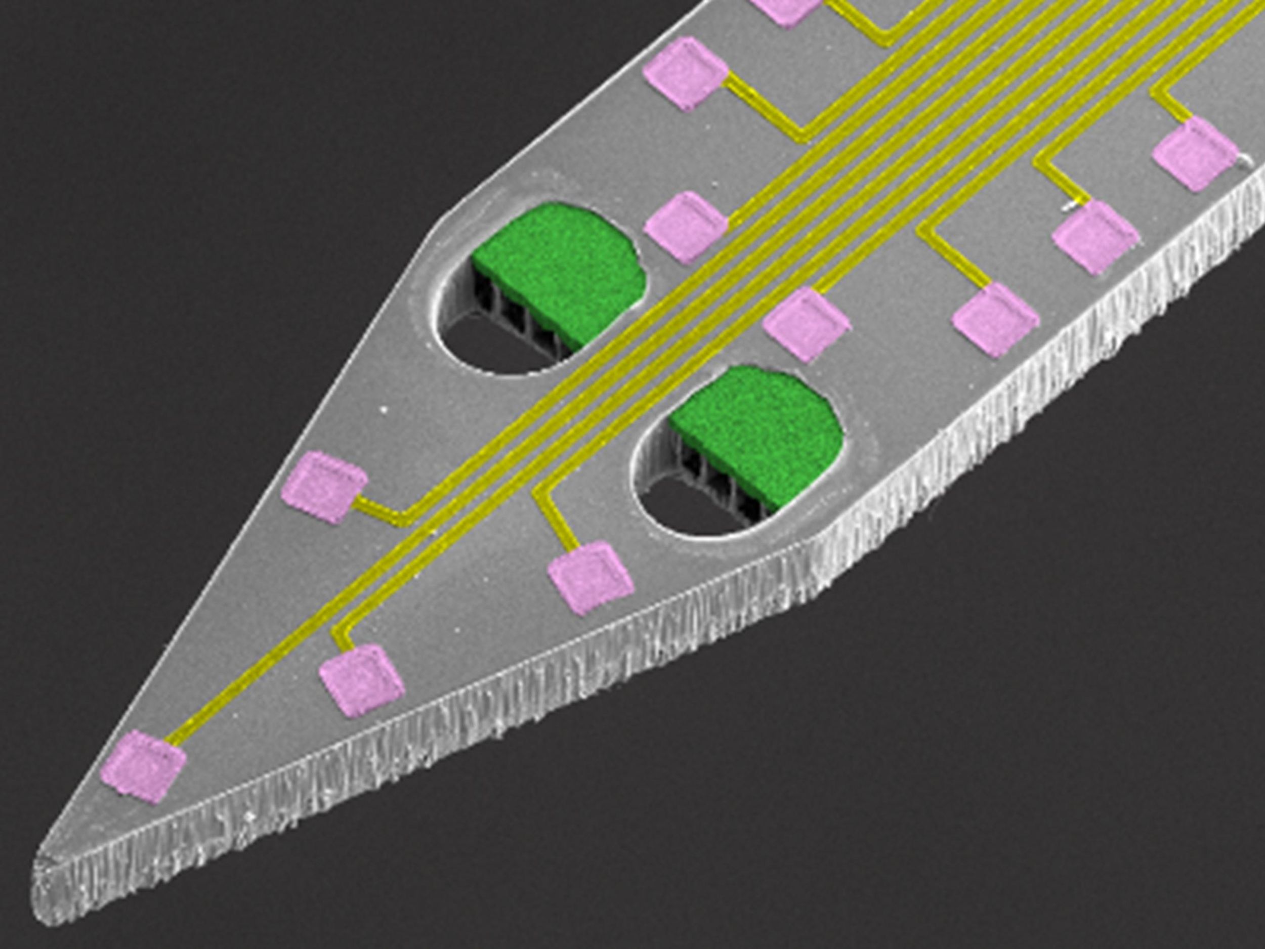 Magnified image of a brain probe with a set of thin microfluidic channel lines that each end at a separate square intake port