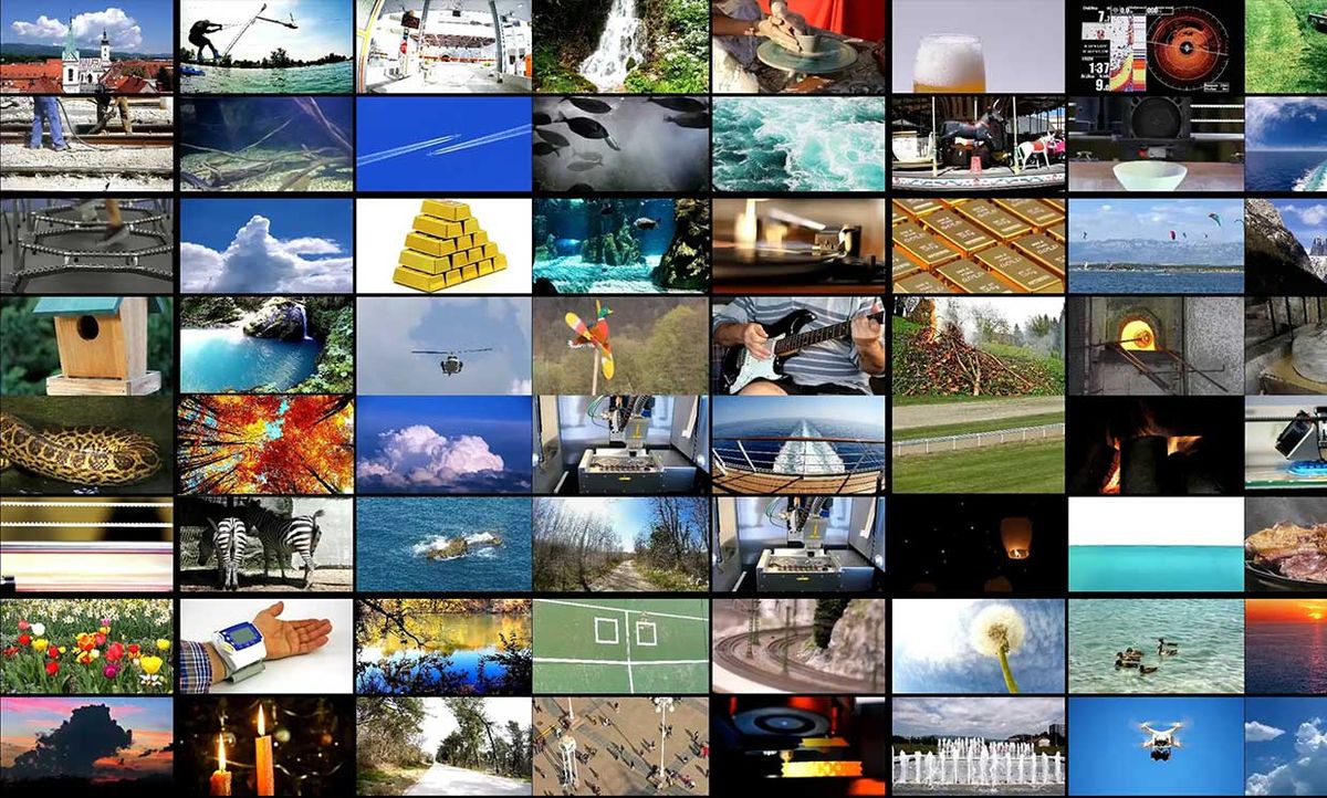many photos in a grid