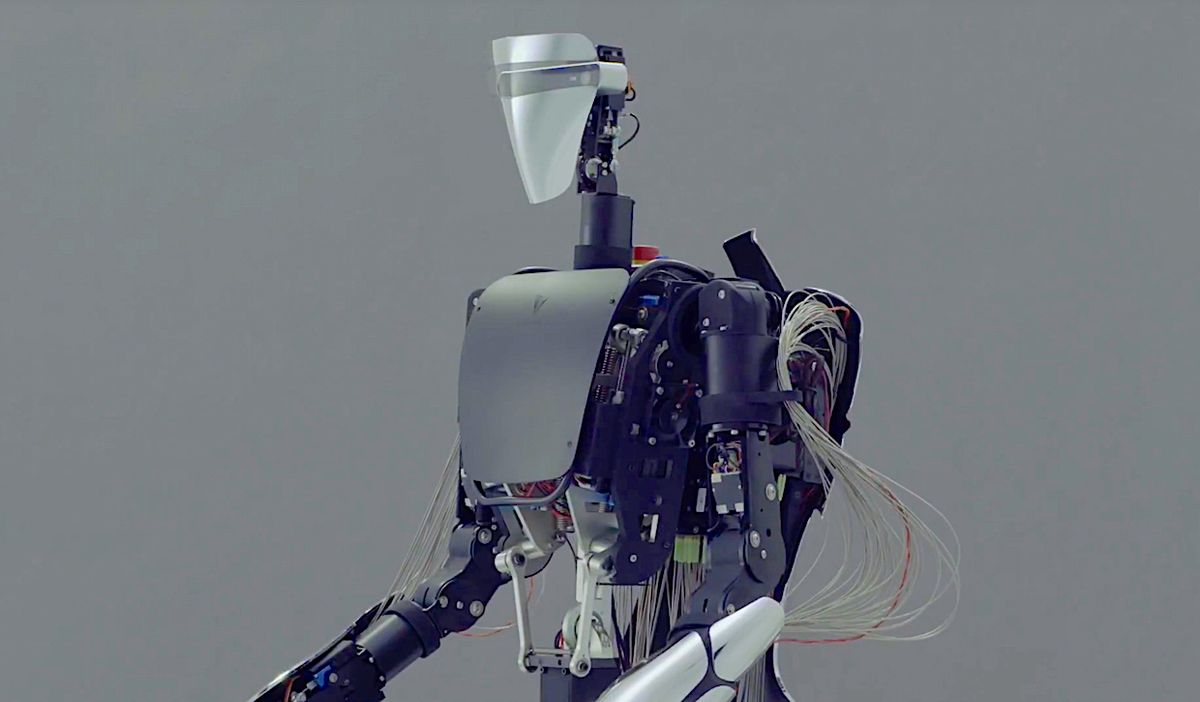 MELTANT avatar robot