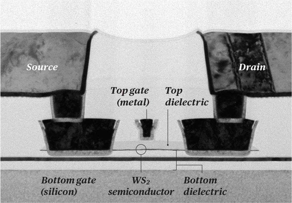 Micrograph showing the two-gate device structure.