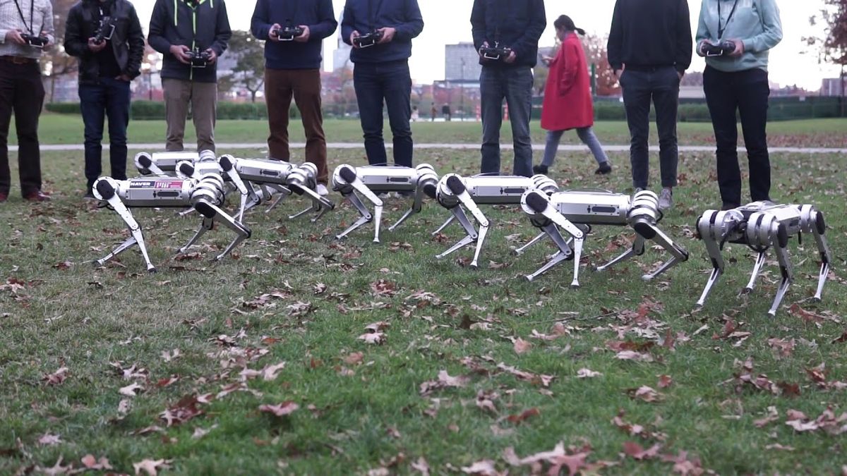 MIT Mini Cheetah robots
