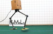 NABiRoS Robot Makes Us Wonder Why We All Don't Walk Sideways
