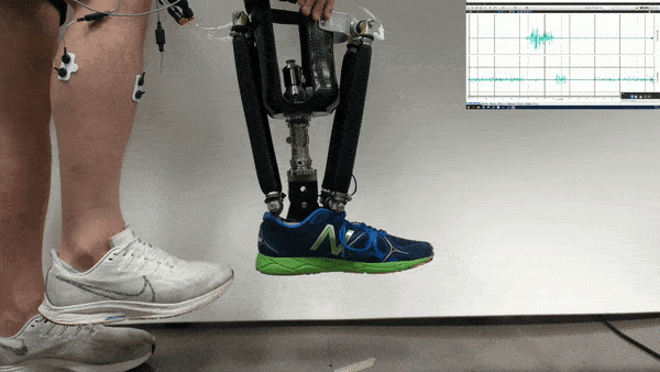 neural exoskeleton