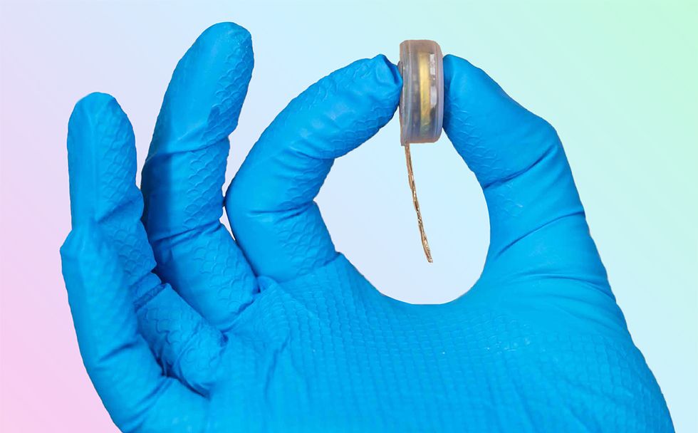 Neuralink device in a blue gloved hand for scale