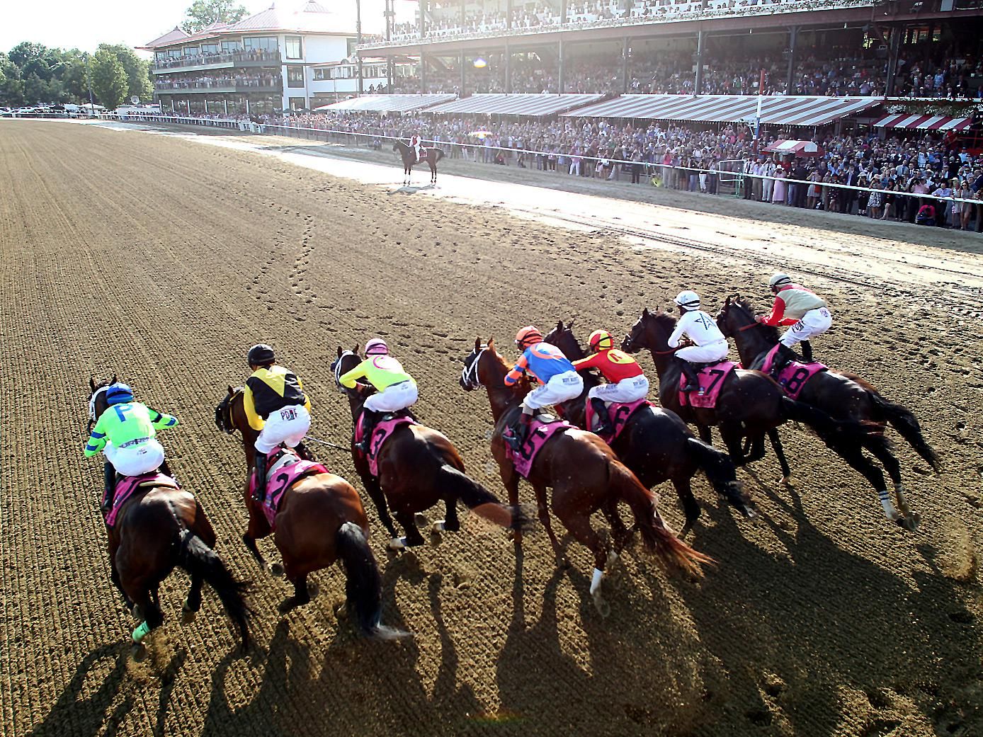 Nine neck-and-neck horses gallop over a dirt surface in front of crowded stands