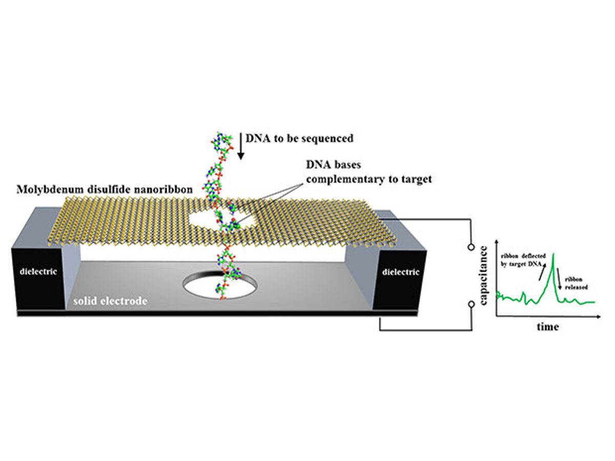 NIST's proposed design for a DNA sequencer based on an electronic motion sensor.