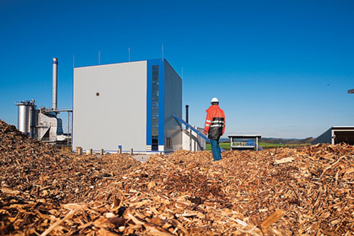 North American wood is fueling Europe’s biomass and coal plants.