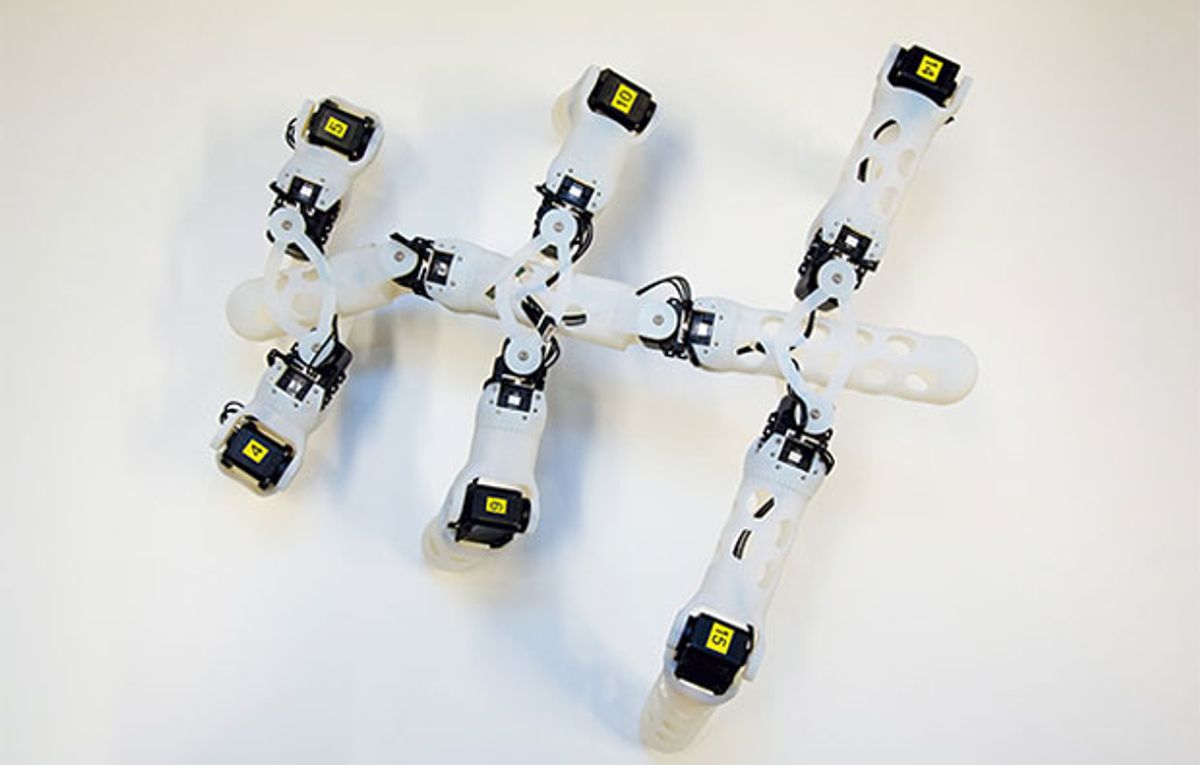 3D Printed Robots Teach Themselves to Move