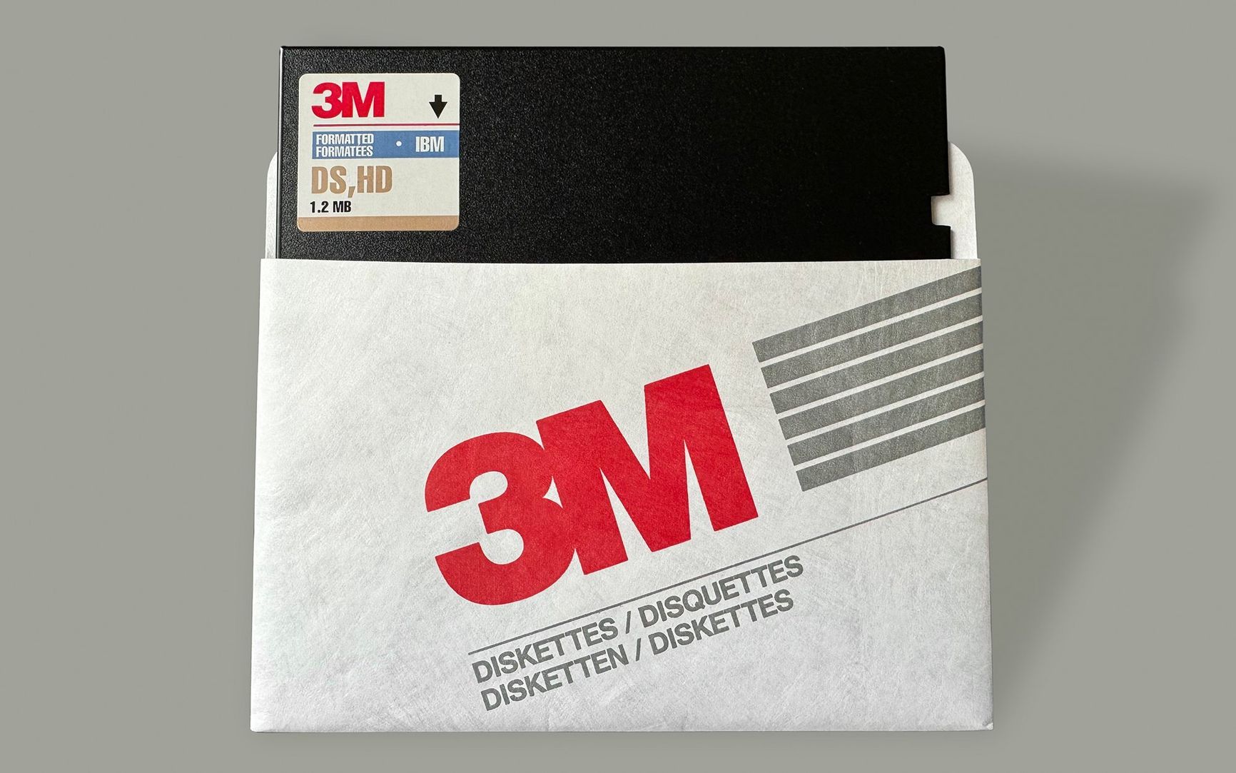 One 3M 5 \u00bc\u201d Floppy disk in a sleeve stands against a gray background.