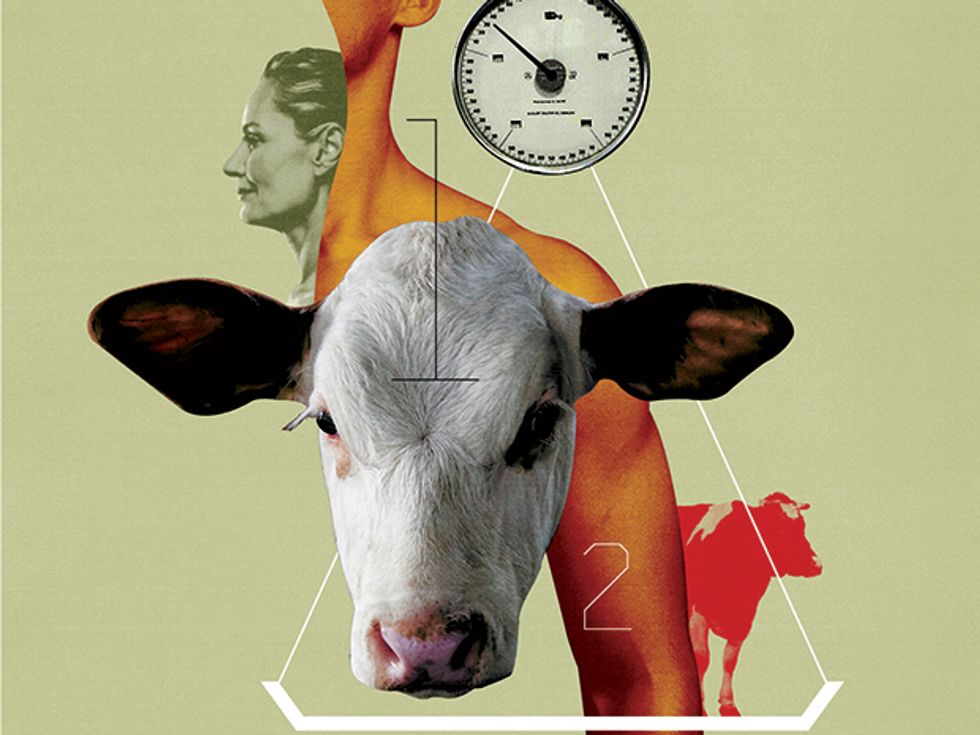 Planet of the Cows - IEEE Spectrum
