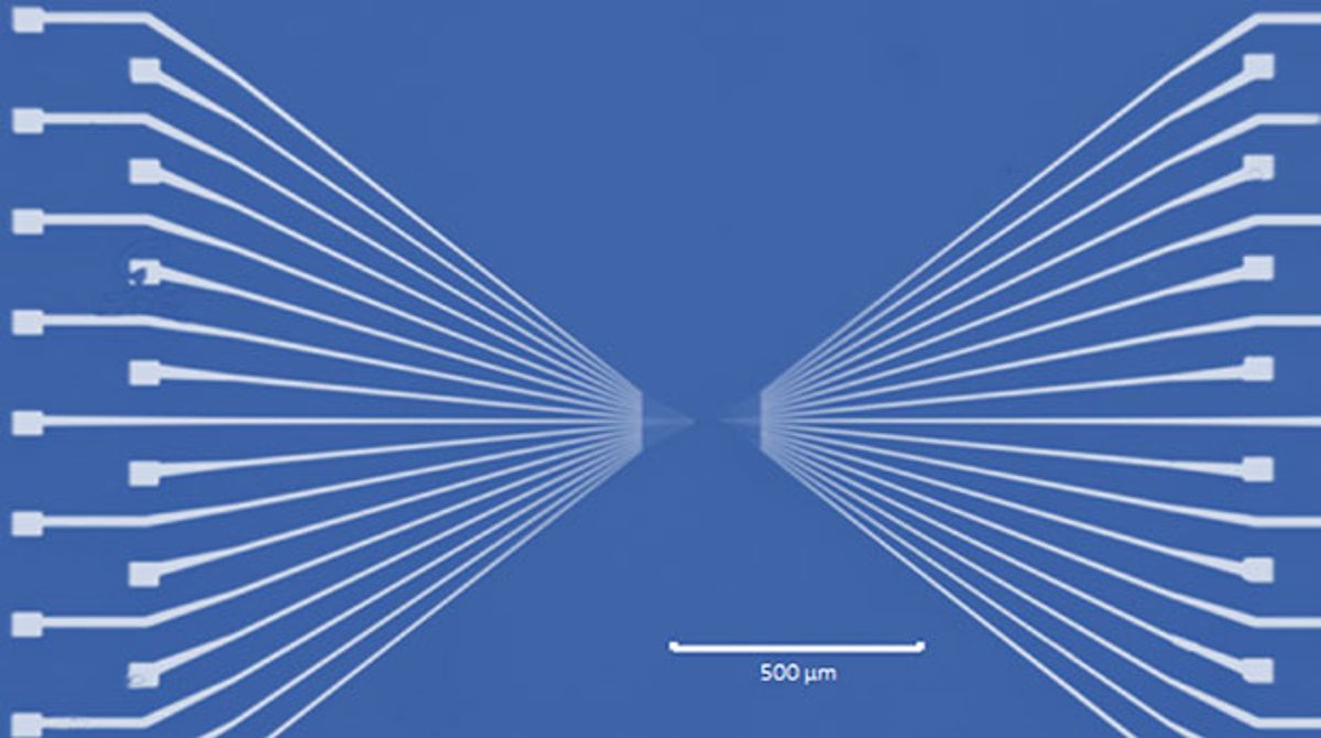 Optical image of the electrodes fabricated by nano-imprint lithography. Nanoscale electrodes (50nm width with separation of 50nm) fan out to microscale patterns and eventually to the contact pads.
