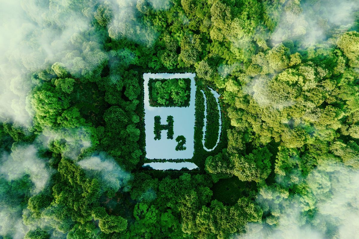 overhead-view-of-green-trees-with-a-icon