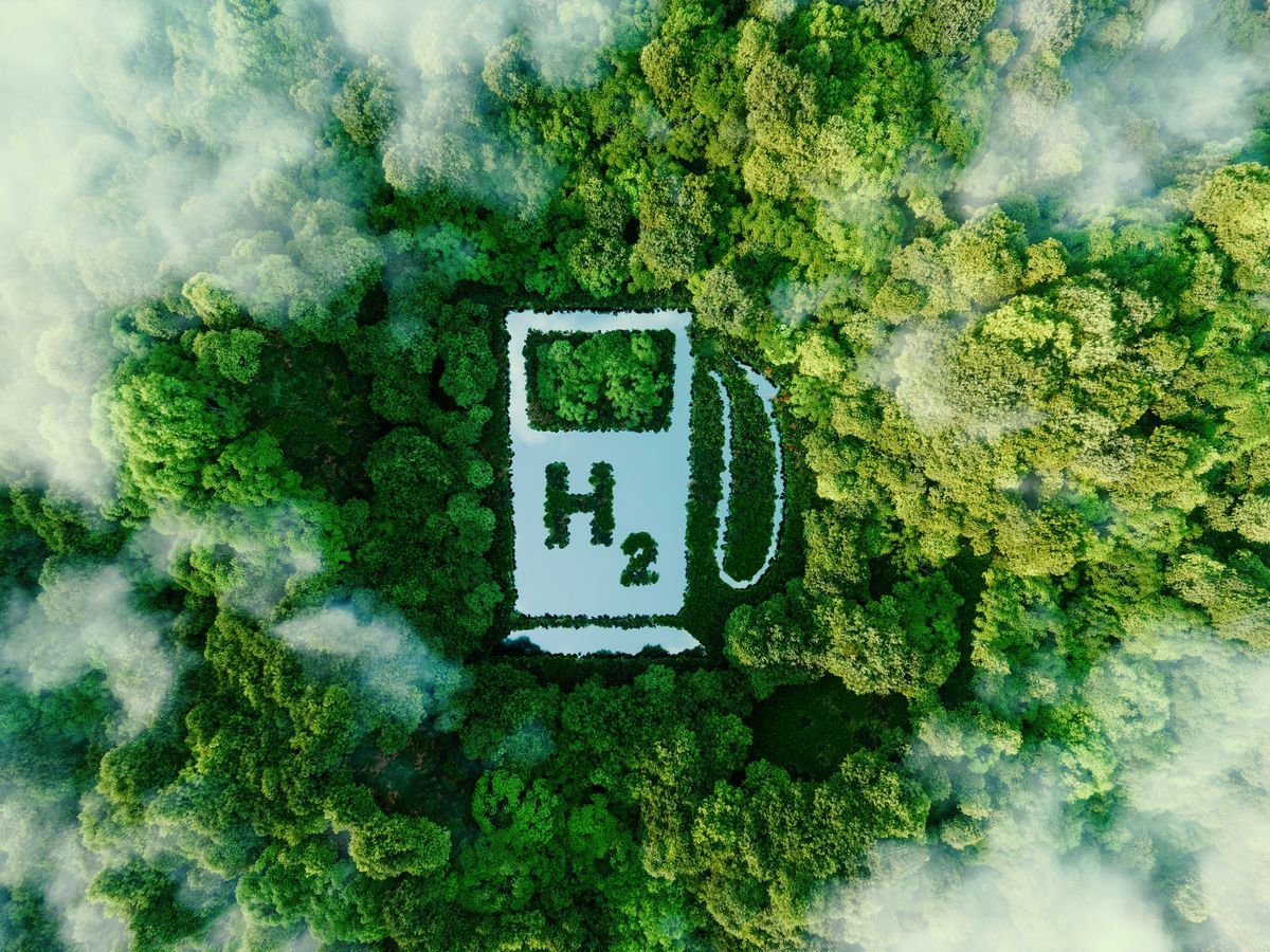 overhead view of green trees with a icon of a fuel pump with H2 written in the middle