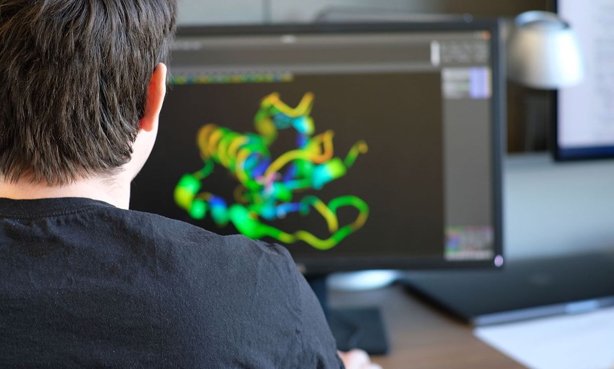 Person working on a protein model
