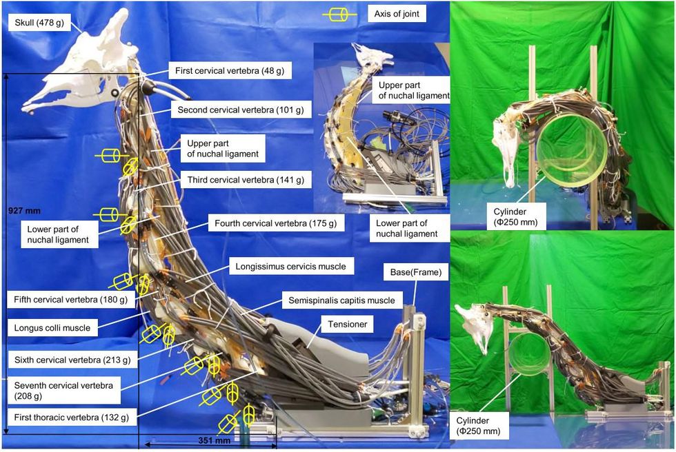 Photo collage showing the different parts of the robotic giraffe neck along with photos showing the neck flexing partway around a cylinder