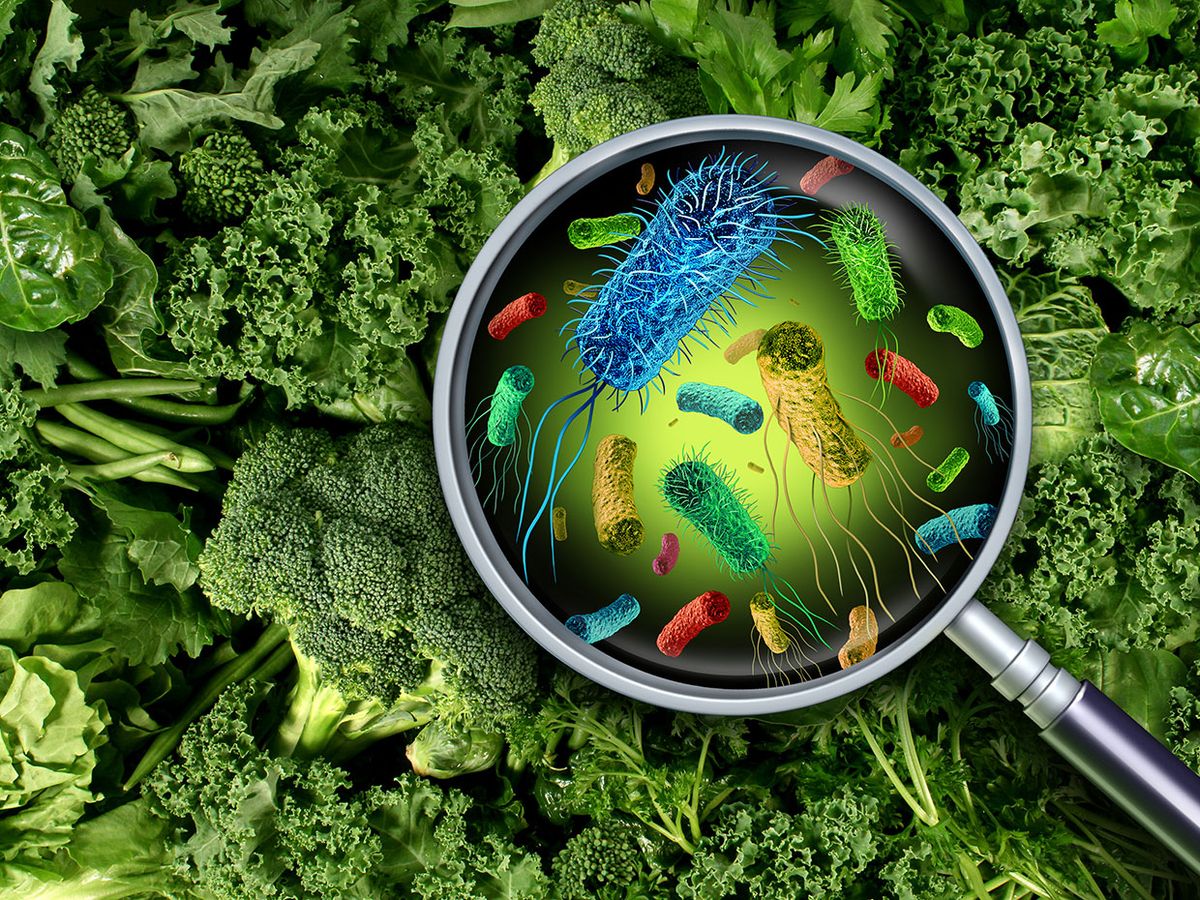 Photo illustration of a magnifying glass over some vegetables showing bacteria.