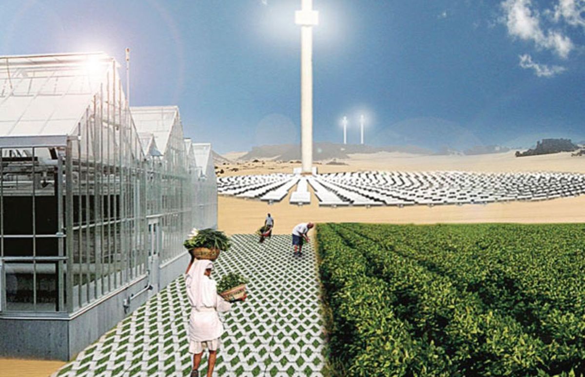 Photo Illustration of people, green houses and solar farms.