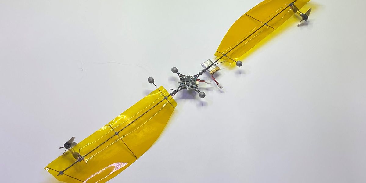 Maple Seeds Encourage Economical Spinning Microdrone