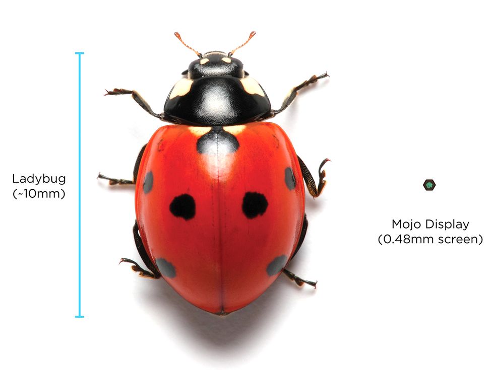 Photo of a ladybug and a microLED.