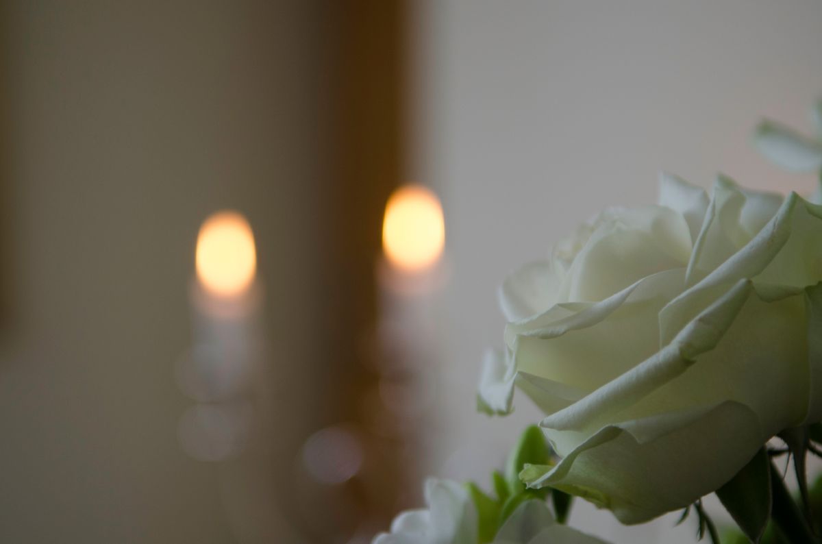 Photo of a rose with candles in background.