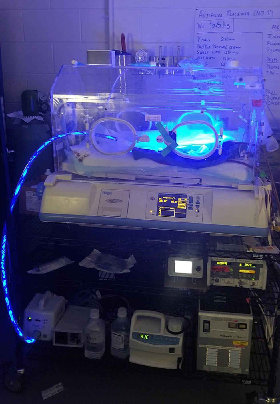 Photo of an incubator.