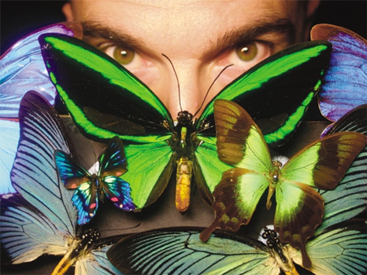 photo of butterfly in front of man's face