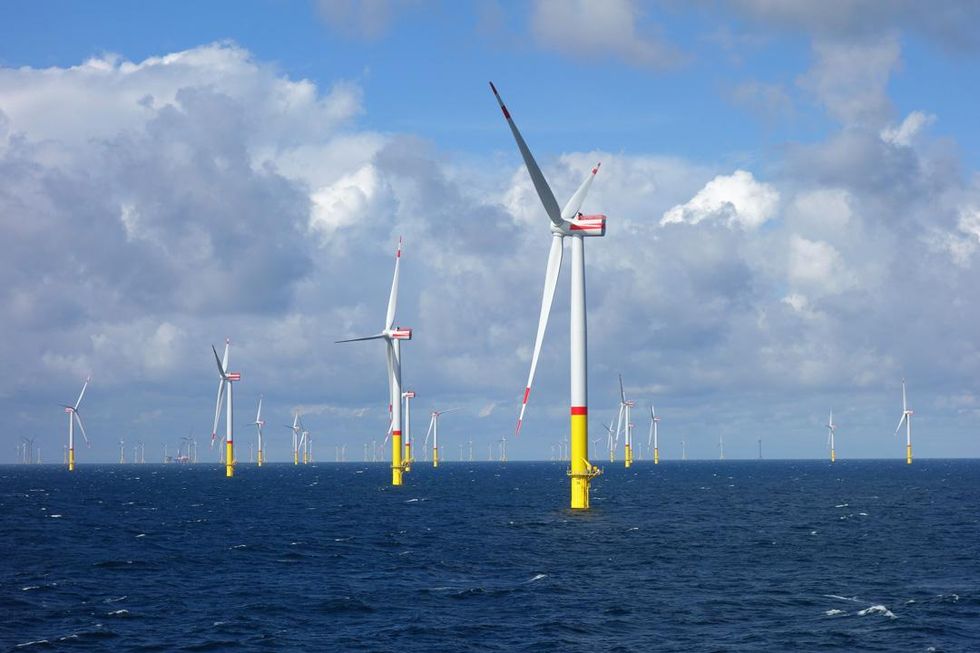 Photo of dozens of wind power towers installed offshore.