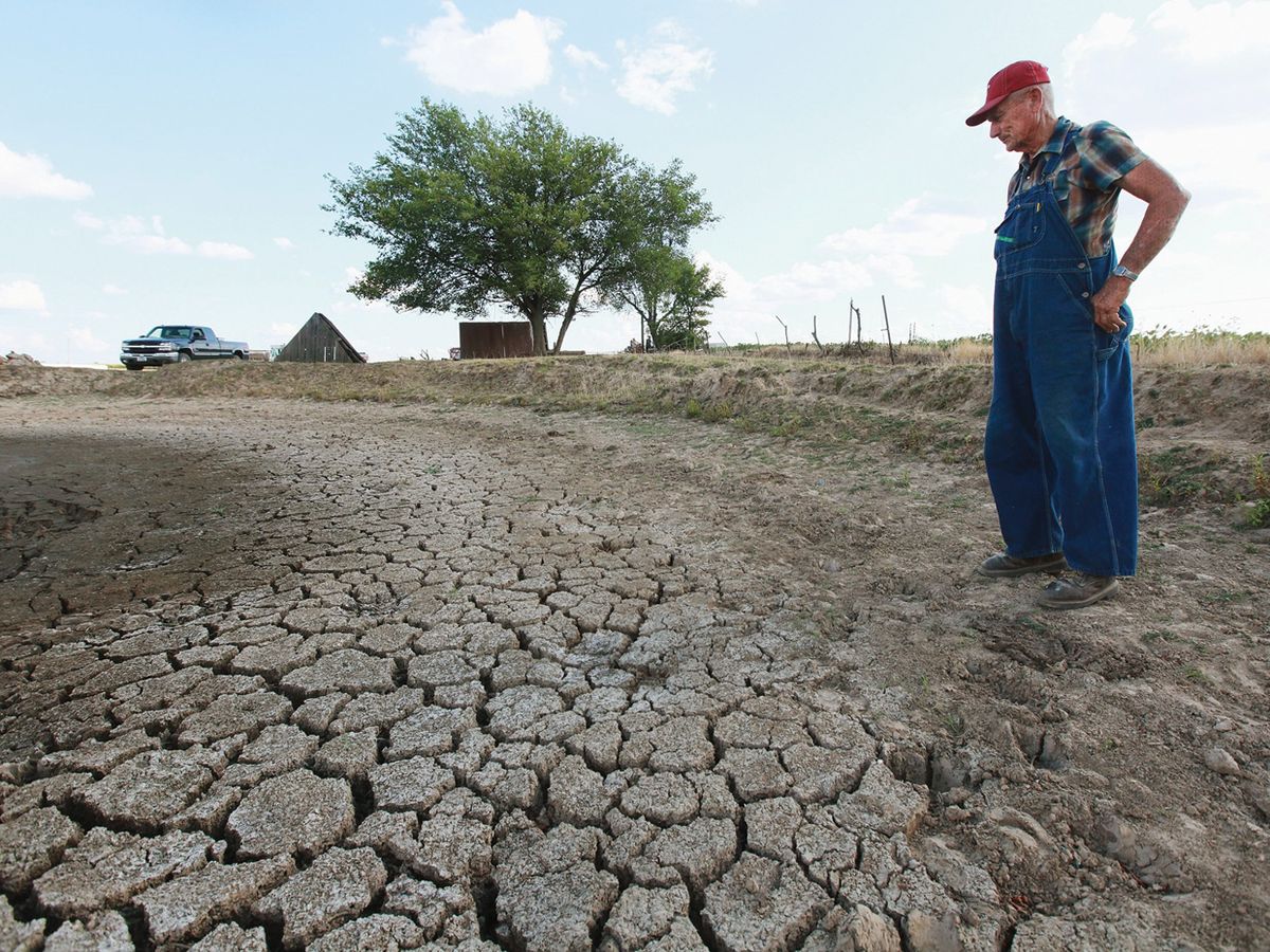 Photo of farmer viewing dry land